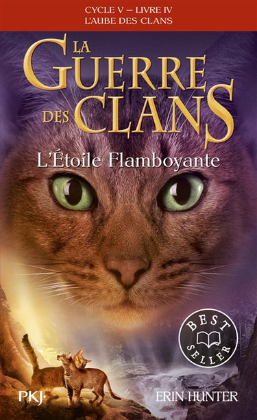 Couverture de La guerre des clans : cycle 5, l'aube des clans. Vol. 4. L'étoile flamboyante