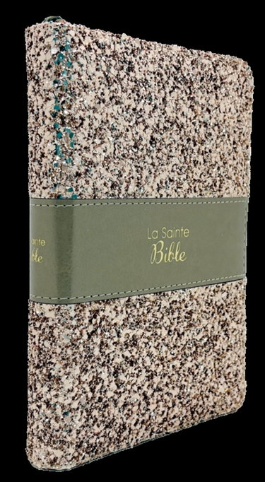 Couverture de La sainte Bible : bronze