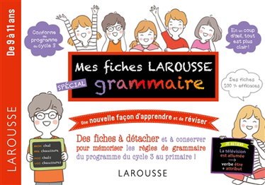 Couverture de Mes fiches Larousse spécial grammaire : de 9 à 11 ans