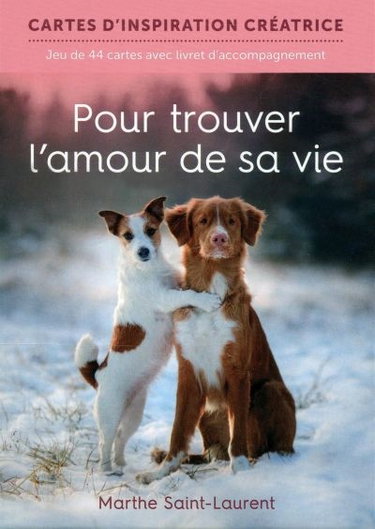 Couverture de Pour trouver l'amour de sa vie : jeu de 44 cartes avec livret d'accompagnement