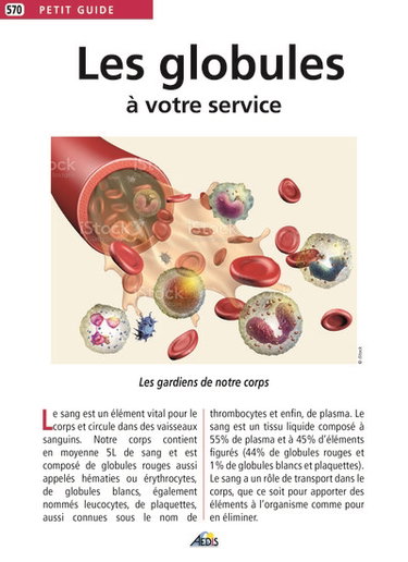 Couverture de Les globules à votre service : les gardiens de notre corps