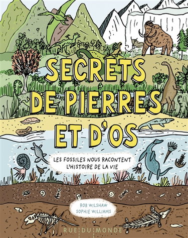 Couverture de Secrets de pierres et d'os : les fossiles nous racontent l'histoire de la vie