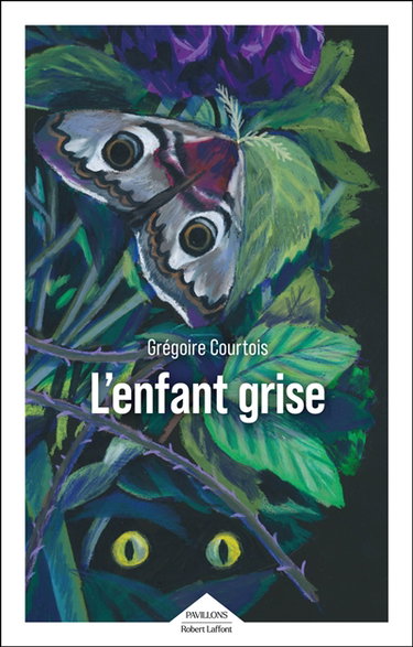 Couverture de L'enfant grise