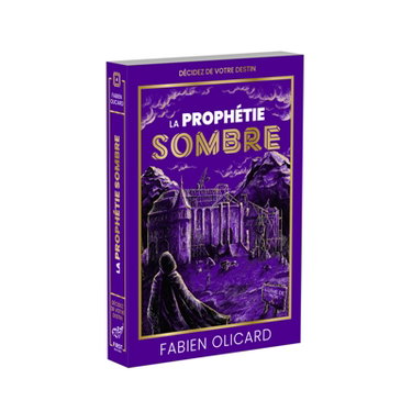 Couverture de La Saga de Dagda : Tome 4 La Prophétie sombre