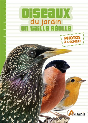 Couverture de Oiseaux du jardin en taille réelle