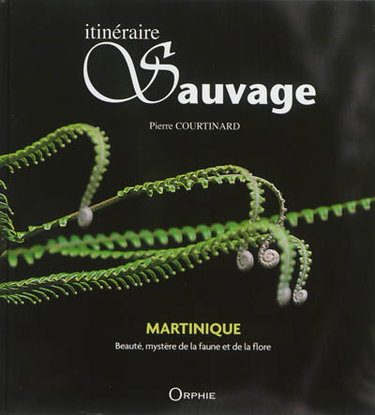 Couverture de Itinéraire sauvage : Martinique : beauté, mystère de la faune et de la flore