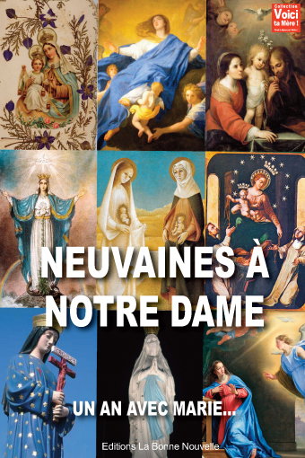 Couverture de Neuvaines à Notre Dame : un an avec Marie...