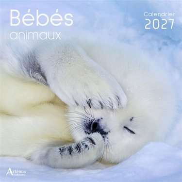 Couverture de Bébés animaux : calendrier 2027