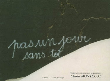 Couverture de Pas un jour sans toi