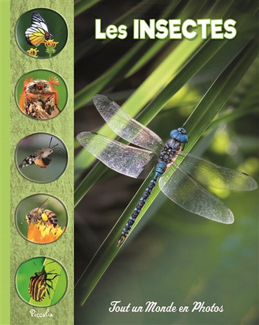 Couverture de Les insectes