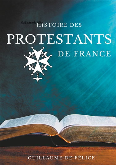 Couverture de Histoire des protestants de France : La religion protestante et le protestantisme des huguenots, luthériens, calvinistes, vu par les synodes des églises réformées de France