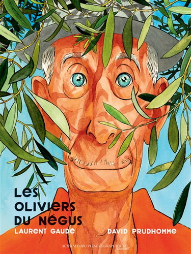 Couverture de Les oliviers du Négus