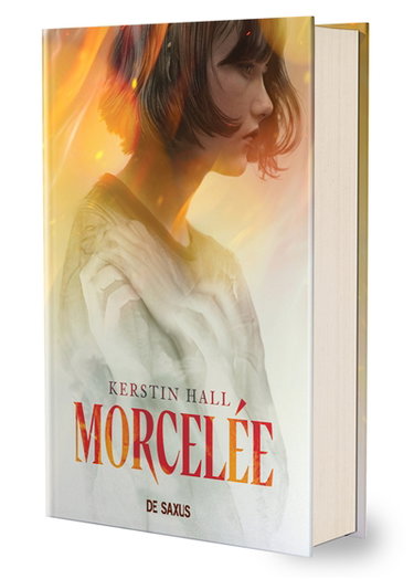 Couverture de Morcelée