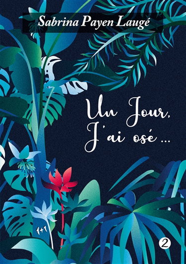 Couverture de Un jour, j'ai osé 2