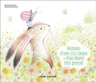 Couverture de Histoire d'une toute petite taupe et d'un lièvre très pressé