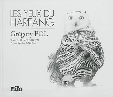 Couverture de Les yeux du harfang