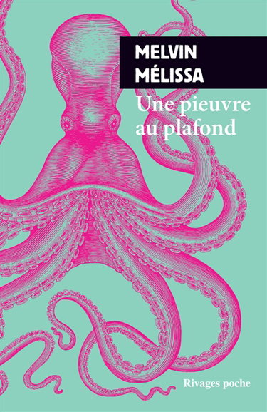 Couverture de Une pieuvre au plafond
