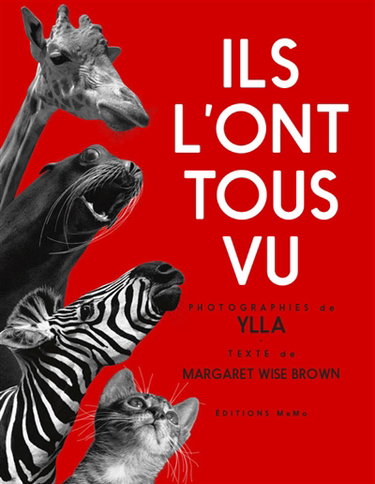 Couverture de Ils l'ont tous vu