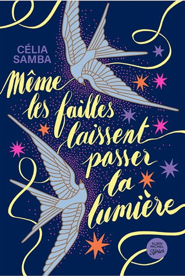 Couverture de Même les failles laissent passer la lumière