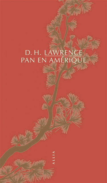 Couverture de Pan en Amérique