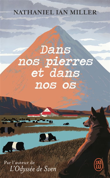 Couverture de Dans nos pierres et dans nos os