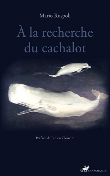 Couverture de A la recherche du cachalot