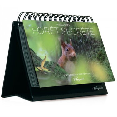 Couverture de Forêt secrète : calendrier perpétuel