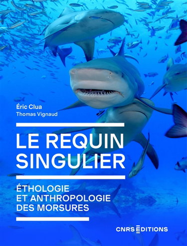 Couverture de Le requin singulier : éthologie et anthropologie des morsures