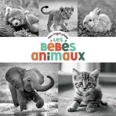 Couverture de Les bébés animaux