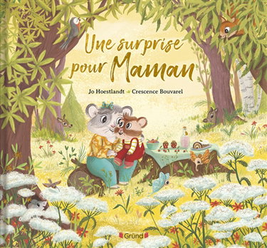 Couverture de Une surprise pour maman