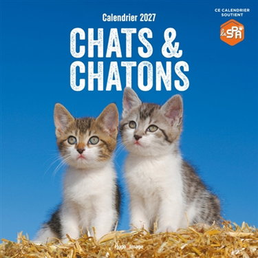 Couverture de Calendrier mural Chats et Chatons 2027