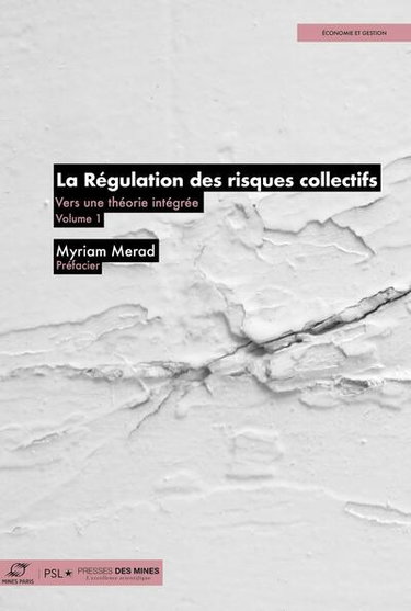 Couverture de La régulation des risques collectifs : vers une théorie intégrée. Vol. 1