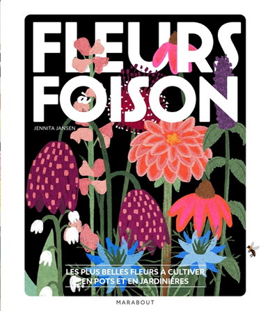 Couverture de Fleurs à foison : les plus belles fleurs à cultiver en pots et en jardinières