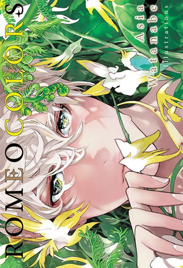 Couverture de Artbook Romeo colors