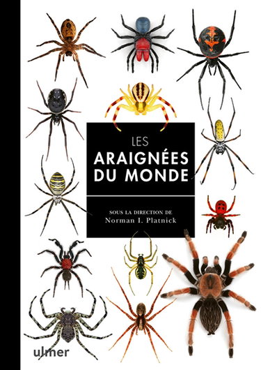 Couverture de Les araignées du monde