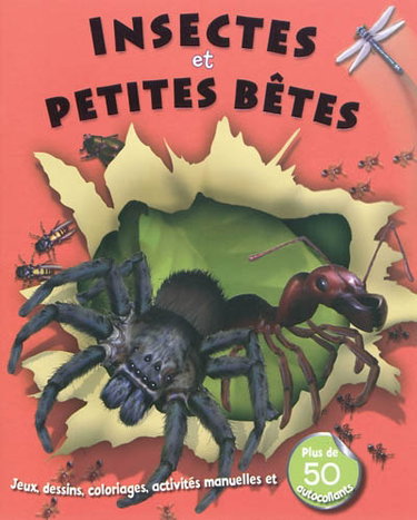 Couverture de Insectes et petites bêtes : jeux, dessins, coloriages, activités manuelles et plus de 50 autocollants