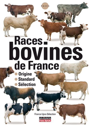 Couverture de Races bovines de France : origine, standard, sélection