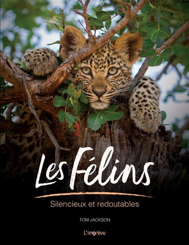 Couverture de Les félins : silencieux et redoutables