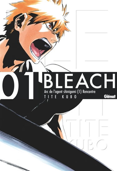 Couverture de Bleach. Vol. 1. The death and the strawberry