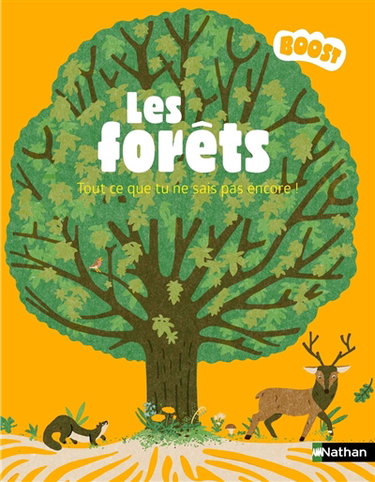 Couverture de Les forêts : tout ce que tu ne sais pas encore !