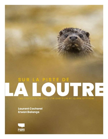 Couverture de Sur la piste de la loutre : des marais à l'estran, une aventure en quête animale