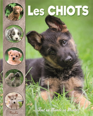 Couverture de Les chiots
