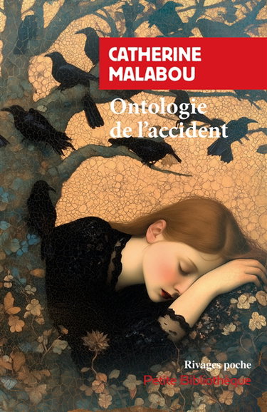 Couverture de Ontologie de l'accident : essai sur la plasticité destructrice par Catherine Malabou