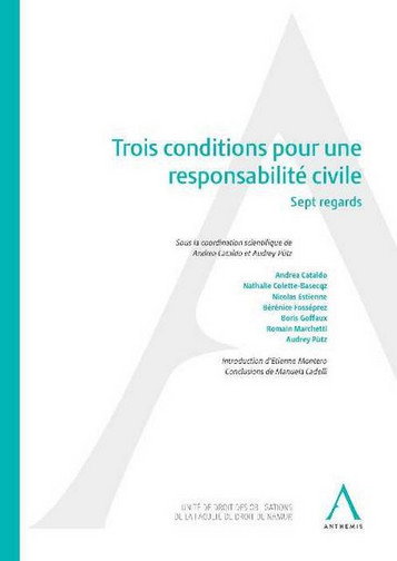Couverture de Trois conditions pour une responsabilité civile : sept regards par Andrea Cataldo