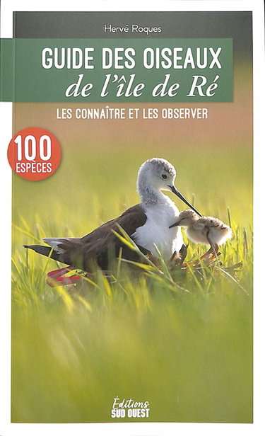 Couverture de Guide des oiseaux de l'île de Ré : les connaître et les observer : 100 espèces par Hervé Roques