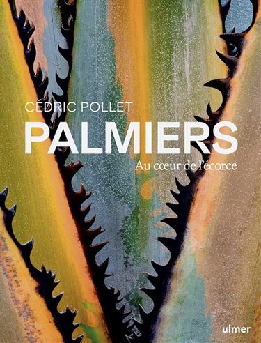 Couverture de Palmiers : au coeur de l'écorce