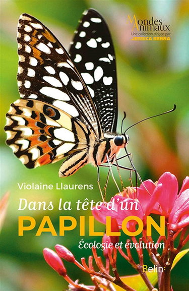 Couverture de Dans la tête d'un papillon : écologie et évolution par Violaine Llaurens