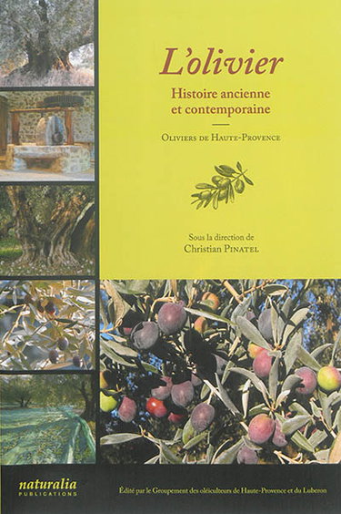 Couverture de L'olivier : histoire ancienne et contemporaine : oliviers de Haute-Provence par Christian Pinatel