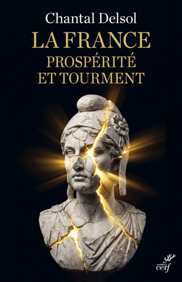 Couverture de La France : prospérité et tourment par Chantal Delsol