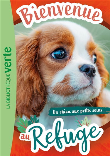 Couverture de Bienvenue au refuge. Vol. 13. Un chien aux petits soins